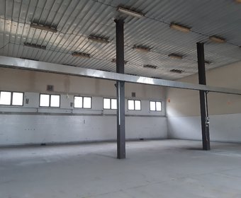 Warehouse for rent - Cerbona