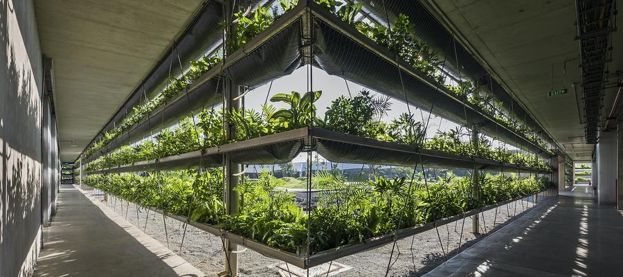 Ipari csarnok lehet a fenntartható trópusi építészet új referenciapontja